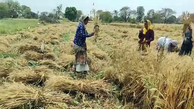 राजस्थान के इस शहर में 71 दिन बाद भी यह काम नहीं पकड़ पा रहा गति...पढ़े पूरी खबर
