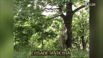 Elisabeta Ticuta - Pe sub poale de Muscel (Tezaur folcloric - arhiva TVR)