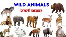 wild animals name | wild animals vocabulary | wild animals quiz | animals for kids vocabulary