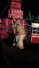 jangan mau kalah dengan yang lebih muda