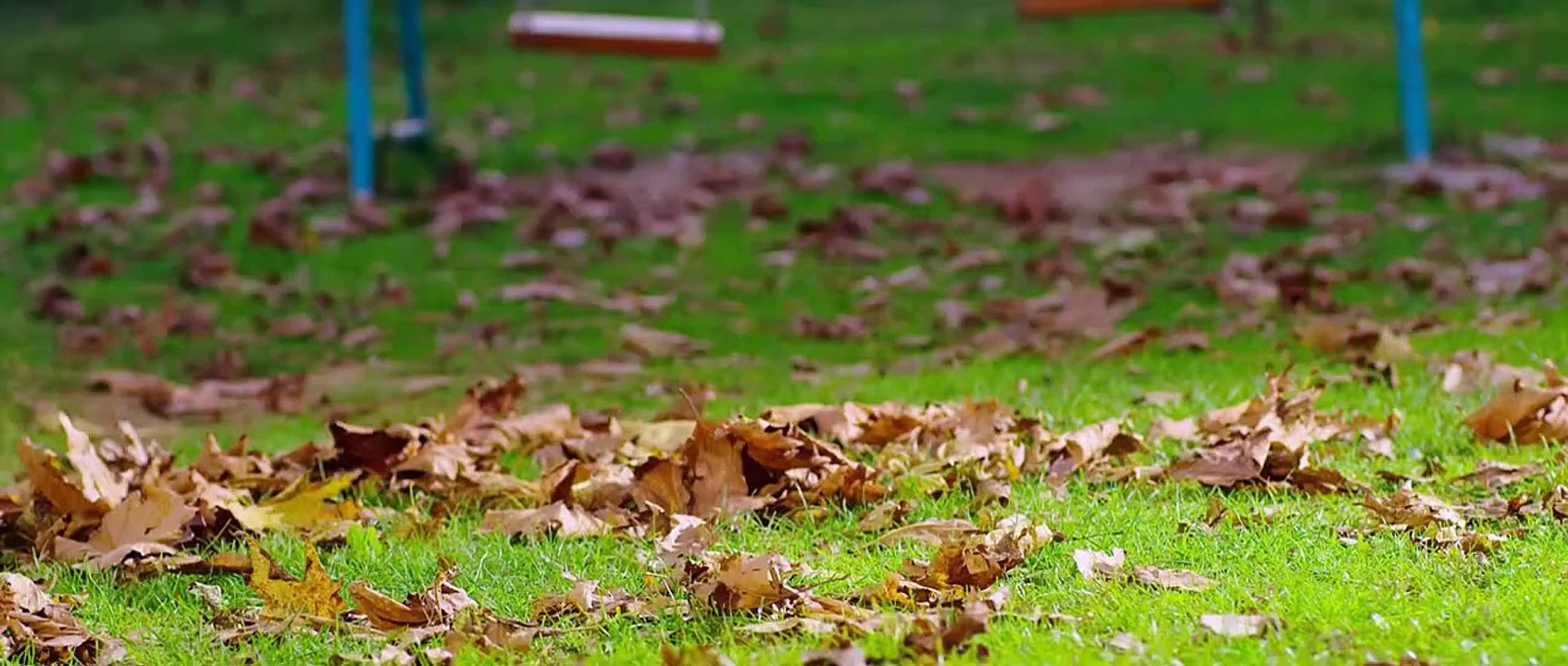 The Hope Fragman