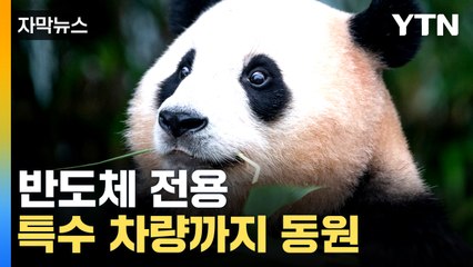 [자막뉴스] 이젠 정말 이별의 시간...푸바오, 이렇게 떠난다 / YTN