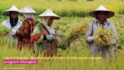 KEREN, DESA SUKARAJA SUKABUMI JADI PILOT PROJECT PROGRAM LUMBUNG PANGAN KEMENTERIAN DESA