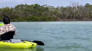 Book a Hobie kayaking adventure today!!!