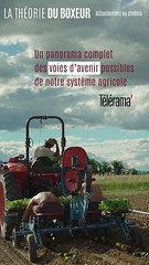 Wonka Bande-annonce (3) VOSTF