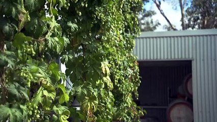Craft brewers ask government for lifeline in tough times