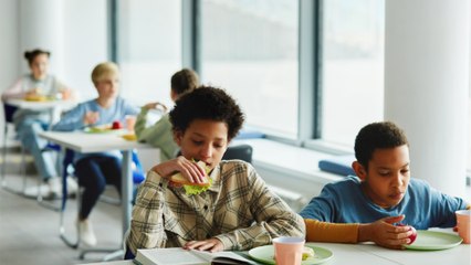 Cantines, Ehpad… Combien faudrait-il débourser en plus pour une alimentation durable ?