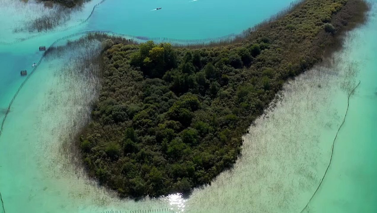 Butterfly Islands