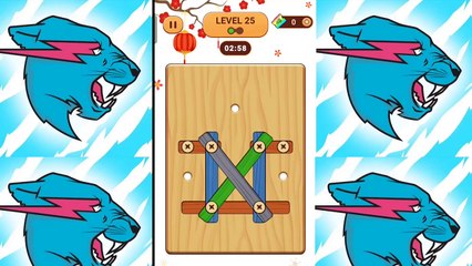 Wood nuts and bolts puzzle level 25