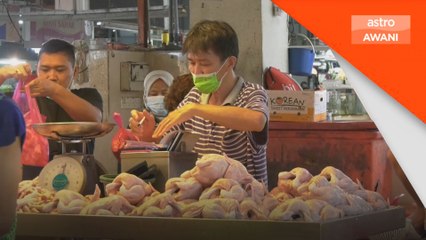 Harga ayam stabil - Armizan