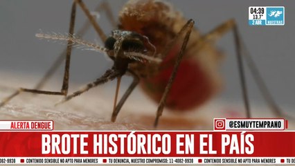 Brote histórico: ya hay más de 180.000 casos de dengue registrados en el país