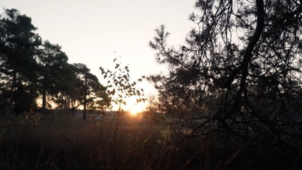 Enjoy this view❤️