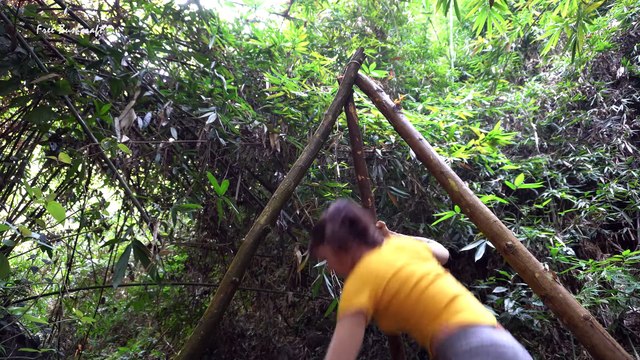 Building stone survival shelter in the forest, Solo bushcraft Free Bushcraft ep.73