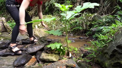 Building warm survival shelter and stove, Bush crafting in the forest   Free bushcraft #72