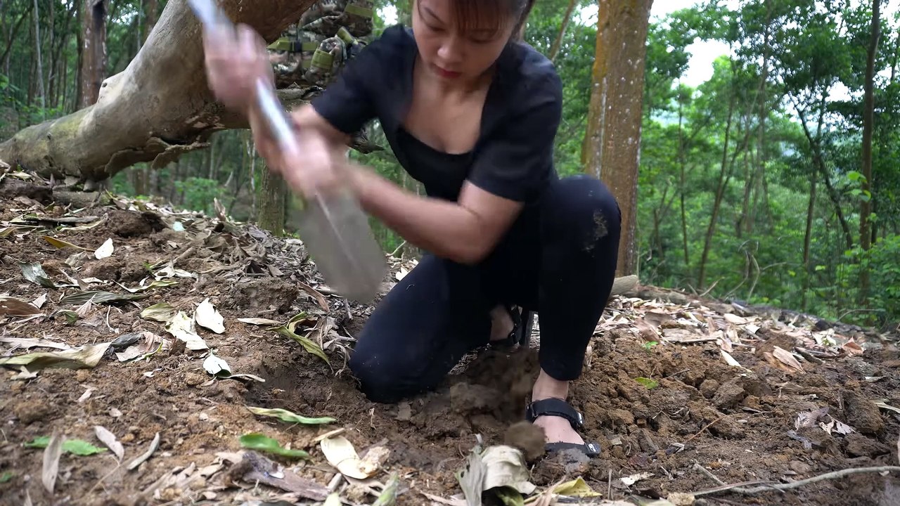 Building warm survival shelter with fireplace, Bushcreaft hut from rotten tree   Ep.66