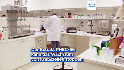 Erste Forschungsergebnisse aus Australien: Cannabis könnte bei der Heilung von Hautkrebs helfen
