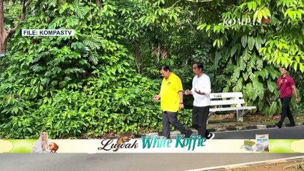 Nama Presiden Jokowi Disebut di Sidang MK, KSP: Apa Hubungannya?