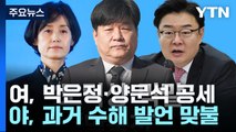 與, 양문석 이어 박은정 조준...野, '수해 막말' 맞불 / YTN