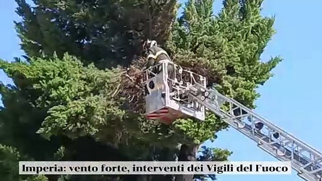 ‌Imperia, forte vento: tronchi spezzati, insegne e teli pericolanti. Pasquetta di interventi per Vigili del Fuoco