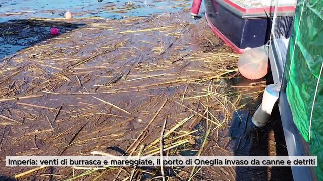 ‌Imperia: venti di burrasca e mareggiate, il porto di Oneglia invaso da canne e detriti