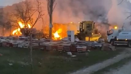 Çiftlikte çıkan yangında onlarca hayvan öldü