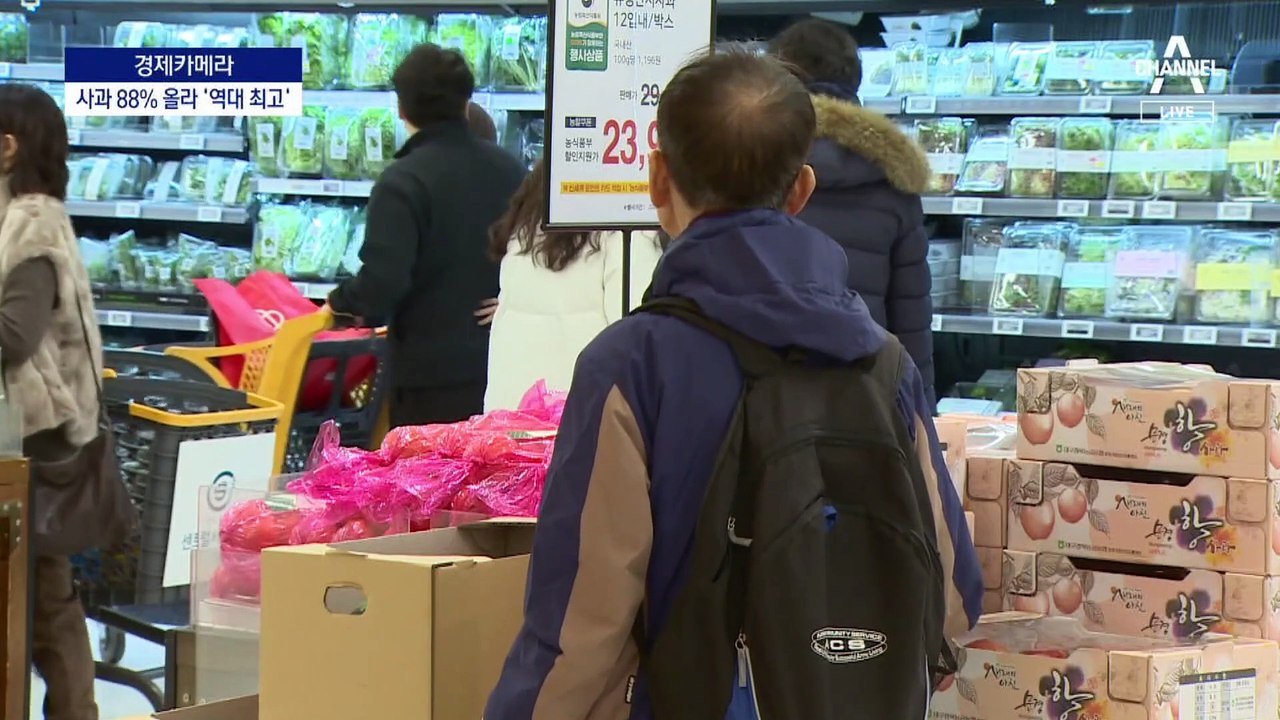 [경제카메라]사과값 88% 최대폭 상승…이제는 강원 사과