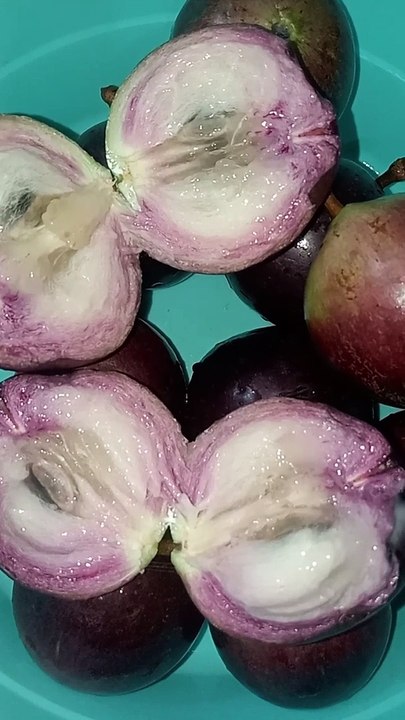 fruits