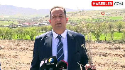 Elazığ'da tarımsal ekosistemler için önemli adım: Amerikan tuz çalısıyla ilk kez mera ıslahı başladı