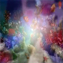 Dora The Explorer S03E25 Job Day