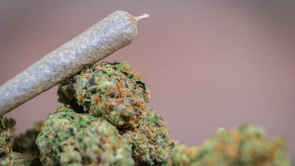 La Marihuana Puede Ayudar A Aumentar La Frecuencia Y Satisfacción De Los Orgasmos