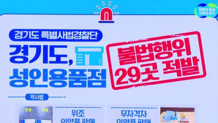 [경기] 경기도, 가짜 발기부전 치료제 판매 성인용품점 20곳 적발 / YTN