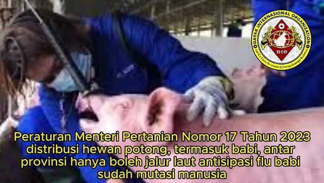 Praktisi Hukum Suarmin SH MH dan Pengurus Dewan Adat Dayak Kecamatan Sungai Raya, Kabupaten Kubu Raya, Mendukung Pendaratan Babi Potong Hidup dari Bali di Dermaga Satria Desa Parit Baru Bentuk Apresiasi Peraturan Menteri Pertanian Nomor 17 Tahun 2023