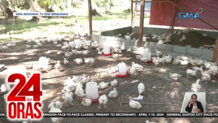 Ilang manok sa poultry farm, namatay dahil sa tindi ng init ng panahon | 24 Oras