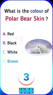Fascinating Animal Facts #generalknowledge #animalfacts #shorts #educationalvideo