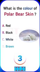 Fascinating Animal Facts #generalknowledge #animalfacts #shorts #educationalvideo