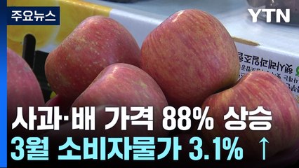 사과·배 88% 올라 역대 최고..."긴급 가격안정자금 계속 투입" / YTN