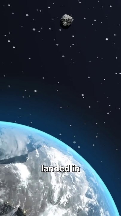 untold facts about Octopuses ( Aliens ? ) #facts