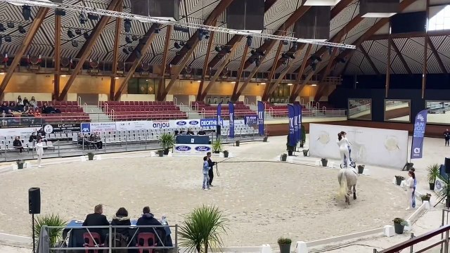 30/03/24 Libre international one star Saumur (49)