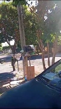 Moradores dos bairros Modelo e Jardim das Garças relatam problemas na coleta de lixo