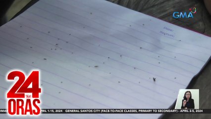 24 Oras Part 2: Problemang kuto sa tag-init; kampanya kontra-droga ng PNP; pagtitiyak ng DOH sa gitna ng mga kaso ng "pertussis"; lagay ng panahon, atbp.