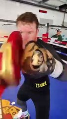 下载视频: ¡Canelo Álvarez se prepara para pelear contra Jaime Munguía!