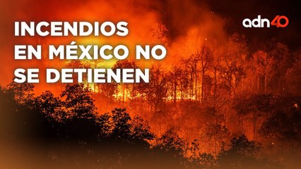 Los incendios forestales en México no dan tregua I Todo Personal