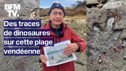 Cette plage de Vendée abrite des traces de dinosaures vieilles de 200 millions d'années