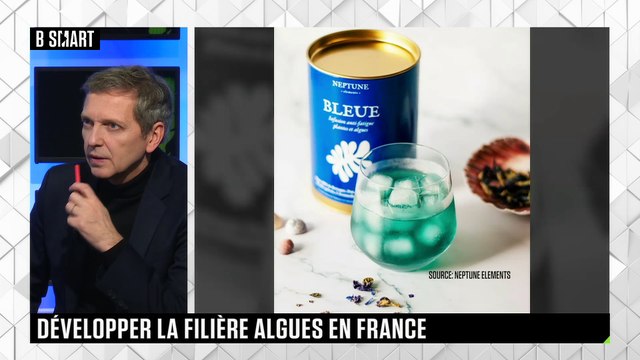 SMART IMPACT - Développer la filière des algues en France
