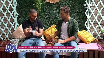 ¿Es bueno darle de comer a nuestras mascotas cuando estamos comiendo? 