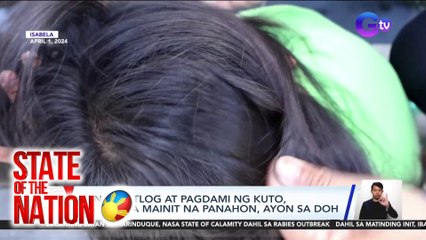 Pangingitlog at pagdami ng kuto, mabilis sa mainit na panahon, ayon sa DOH | SONA