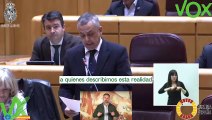 Angel Pelayo Gordillo. Pregunta en Pleno del Senado sobre Inmigración. 02.04.2024