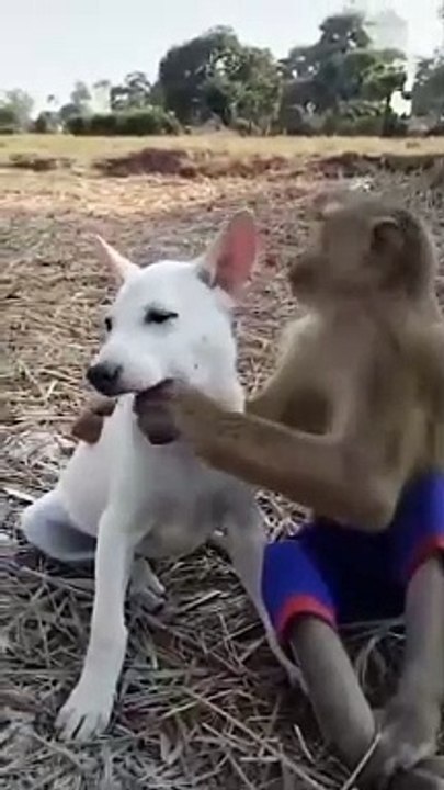 Hhhhh