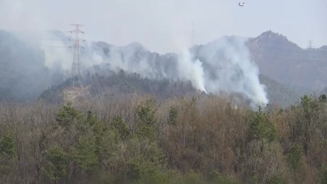 경기 포천 산불 1시간여 만에 꺼져...산림 2ha 불에 타 / YTN