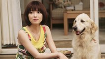 犬と私の１０の約束 AKA 10 Promises to My Dog (2008) | Japanese Romance / Drama Movie [720p Blu-ray]
